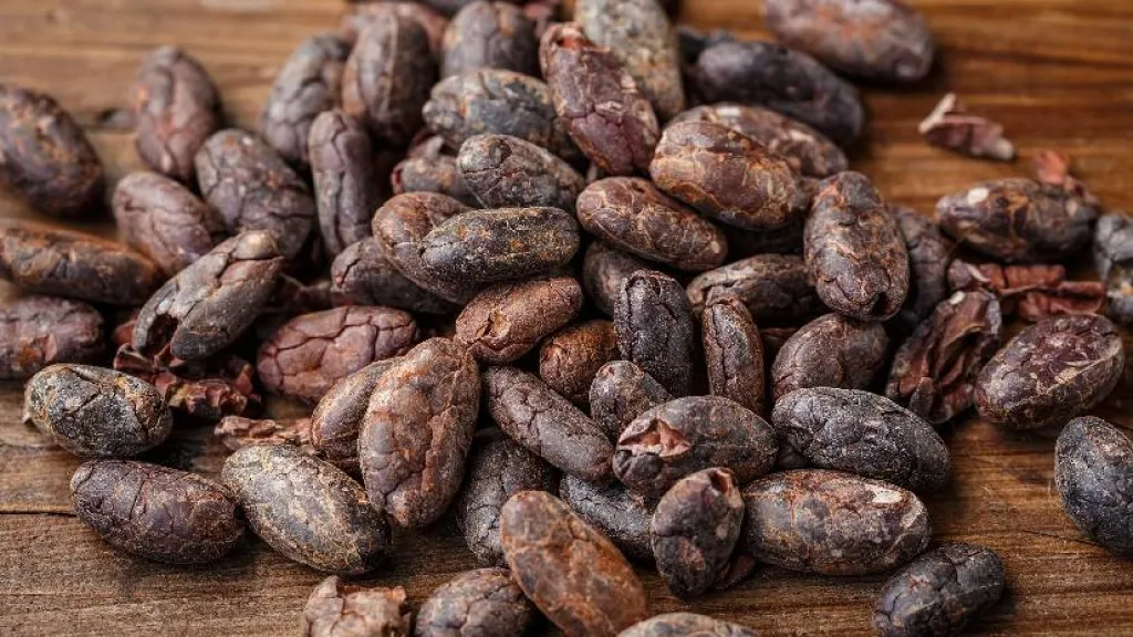 Concurso Nacional ‘Cacao de Oro’ 2022 | Semifinalistas