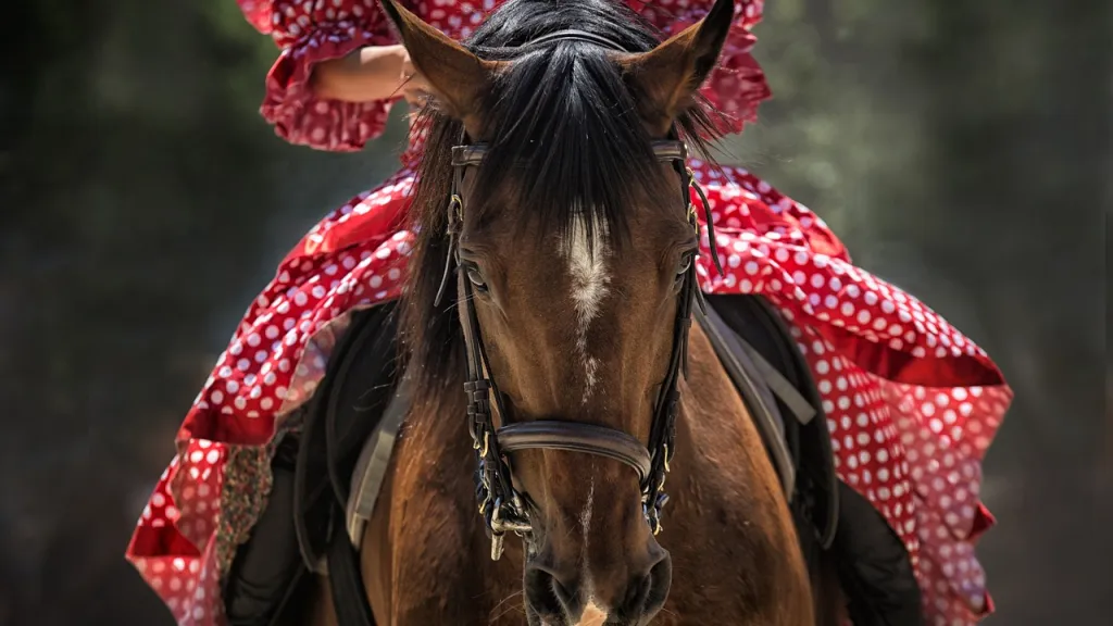 Procuraduría insta a suspender la cabalgata sanjuanera en Ibagué por falta de reglamentación