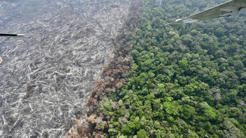 Hoy se conmemora el Día Internacional para la Prevención de la Explotación Ambiental en la Guerra y los Conflictos Armados