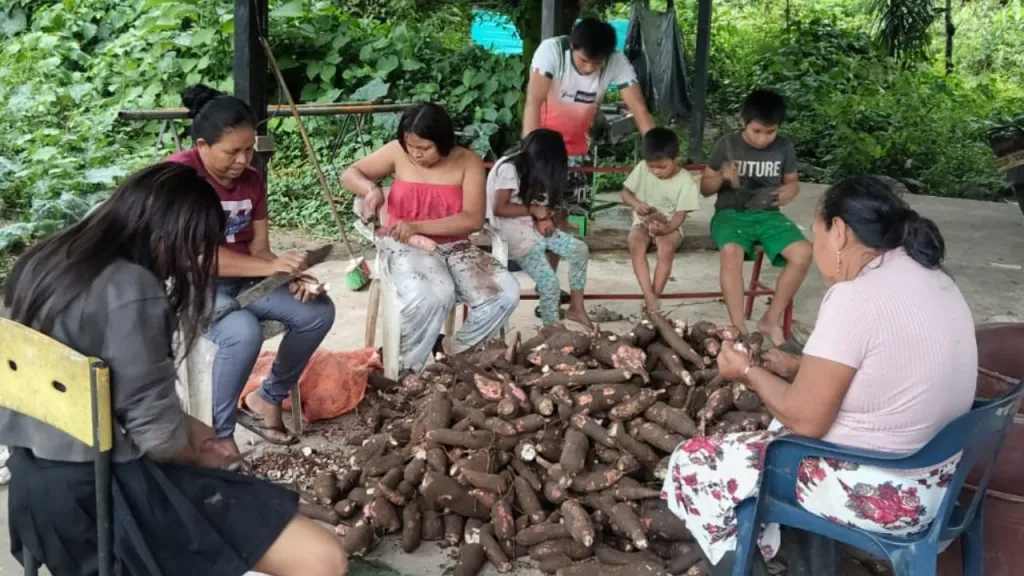 Conoce el emprendimiento del pueblo Sikuani que transforma la yuca en casabe y mañoco, productos ancestrales que contribuyen a la seguridad alimentaria