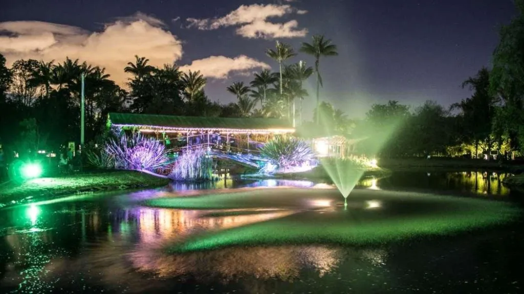 Jardín de la noche: fecha, horarios, actividades | Jardín Botánico