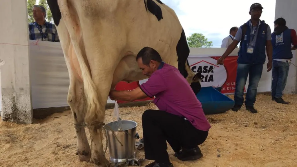 Productores lecheros del Cauca enfrentan crisis tras el retiro de Alpina