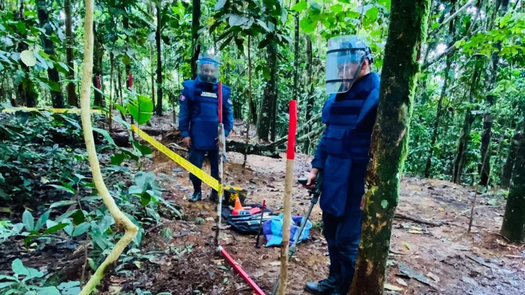 Minas antipersonal: cifra de víctimas en Colombia
