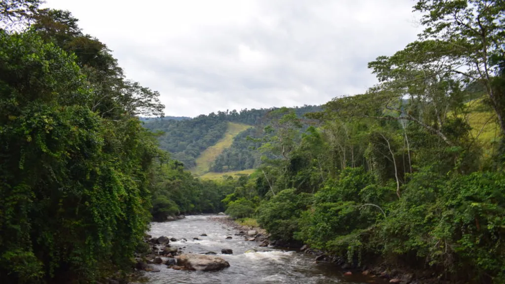 Miravalle: Firmantes de paz denuncian amenazas