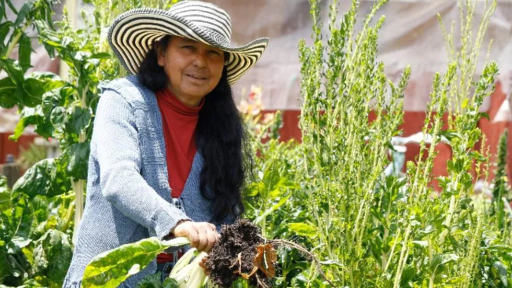 Día Internacional de las Mujeres Rurales 2025
