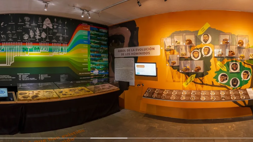 Museo de Historia Natural de la Nacional está en riesgo
