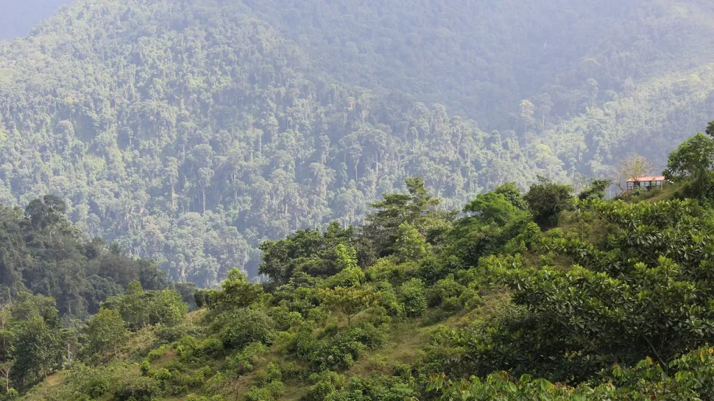 Cristin Ranoqué, bebé perdida en la selva, cumple su primer año de vida 