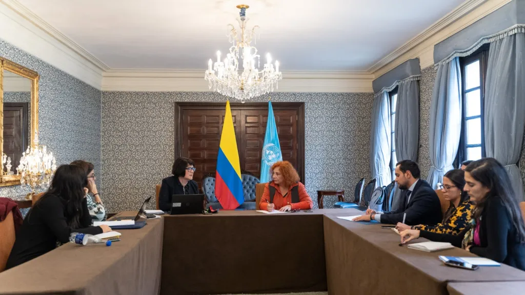ONU reunión