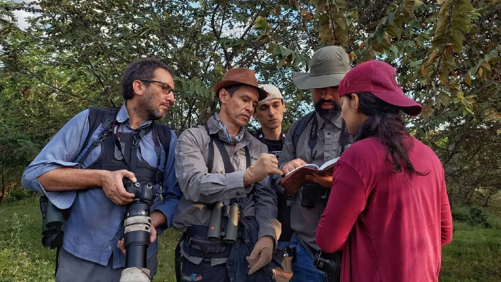 Festival de aves del Huila 2023: programación, especies y eventos