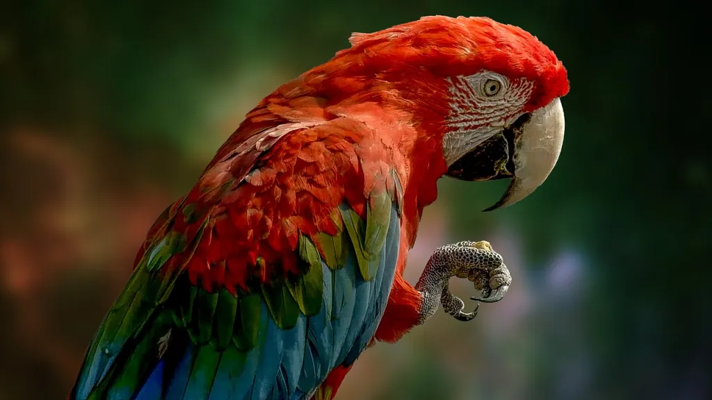 ¿Los loros pueden hablar como los seres humanos? Te lo contamos a continuación