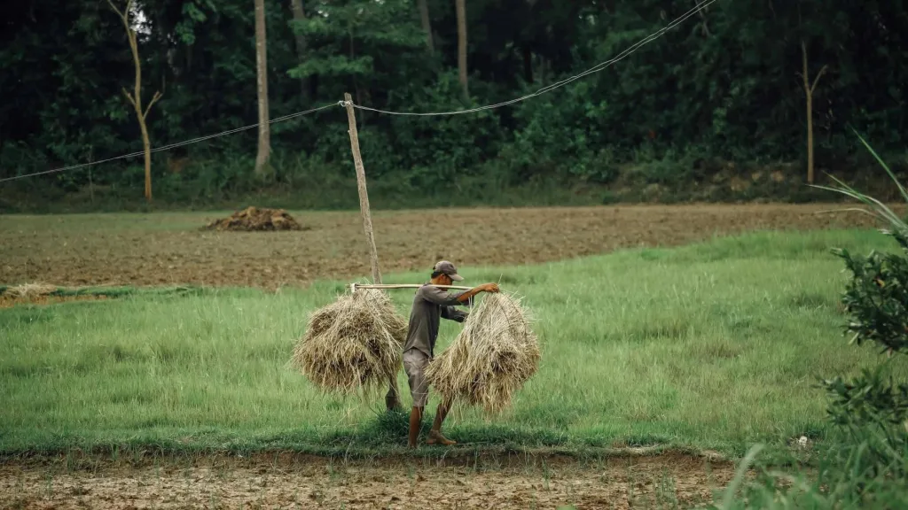 Campesinos en Colombia: Mira este top cinco de libros