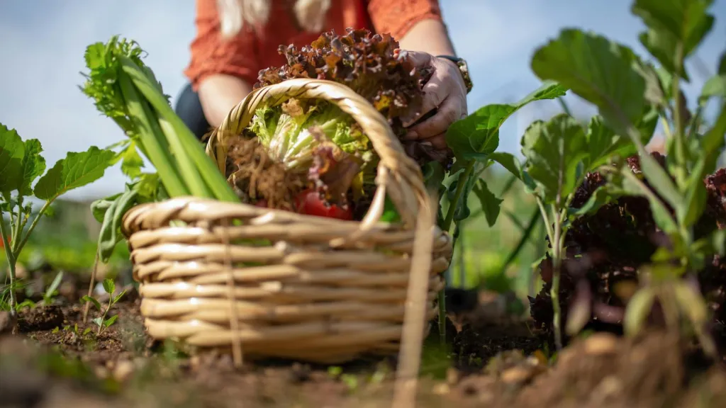 MinAgricultura activa plan de emergencia para abastecimiento de alimentos en paro camionero