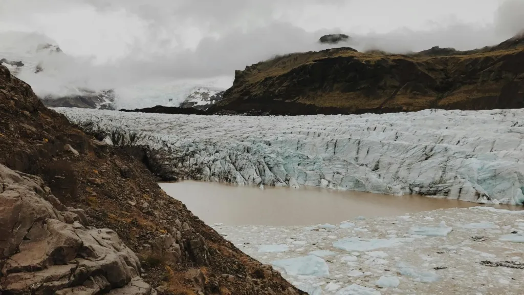 Día Mundial Medio Ambiente 2024: cambio climático efectos 