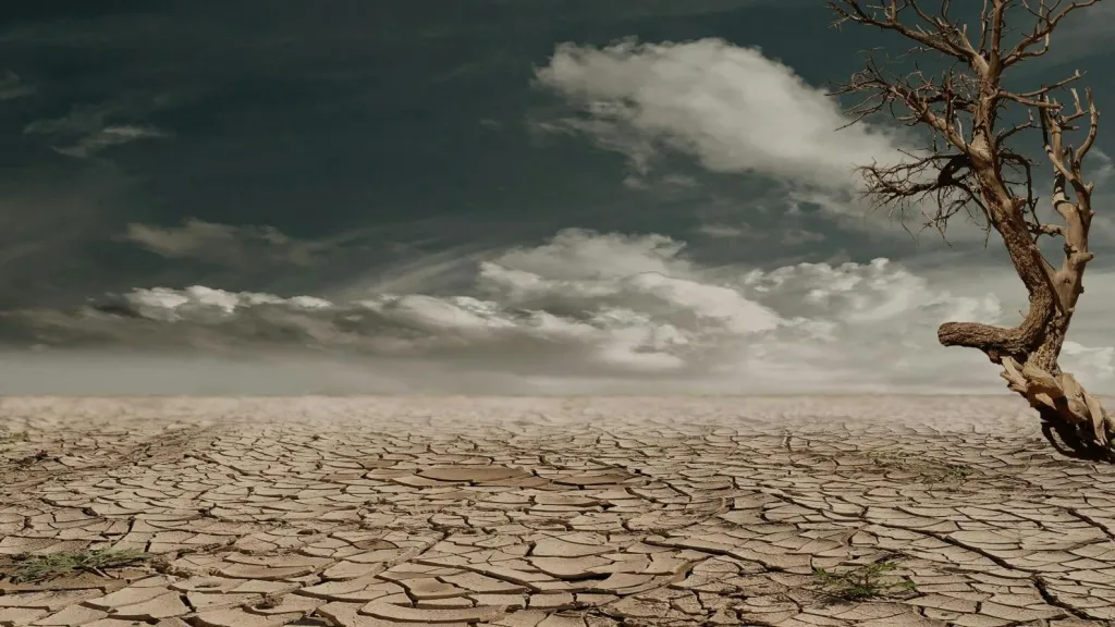 Cambio climático: El clima en la Tierra estuvo históricamente alto en marzo