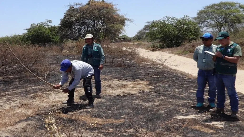  La Guajira presenta riesgo medio-alto de incendios forestales