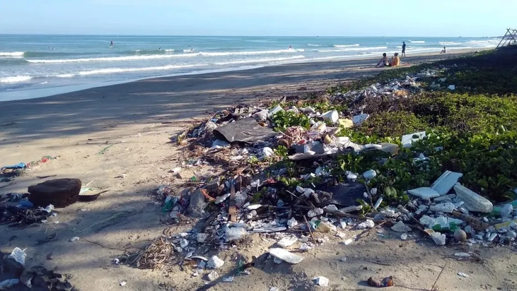 Plásticos de un solo uso | ¿Cómo reducir la contaminación desde casa?
