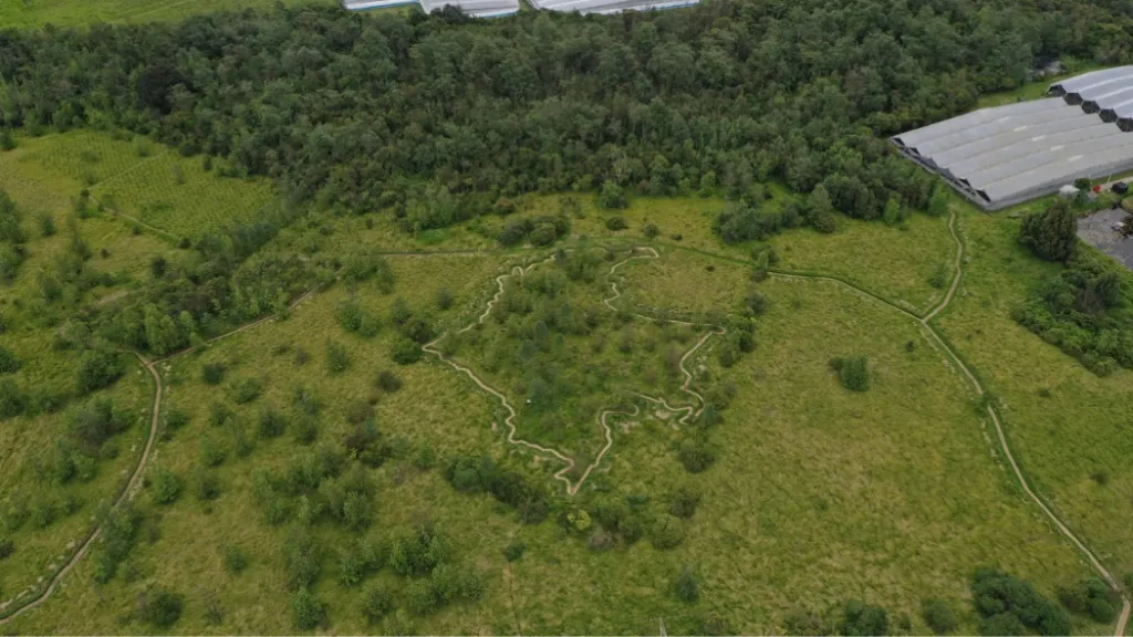 Primer bosque sonoro de Latinoamérica | Planes en Bogotá