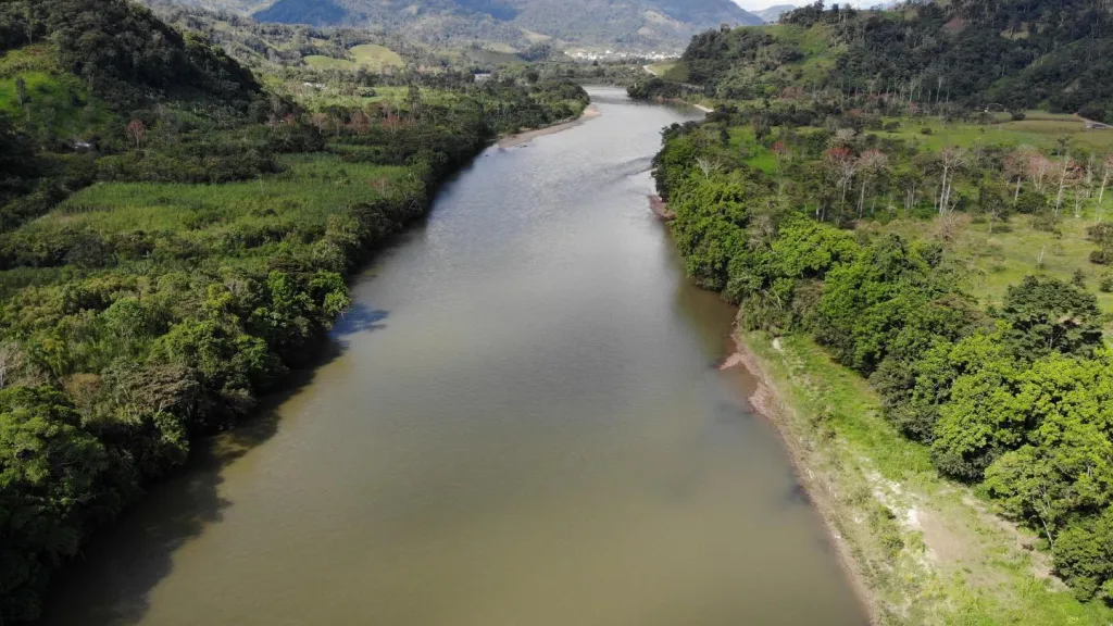 Amazonía en "alerta roja" por deforestación y contaminación