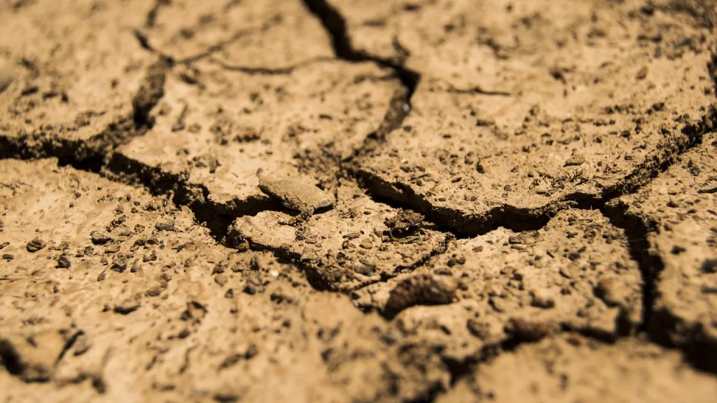Las sequías la nueva normalidad climática, advierte la ONU