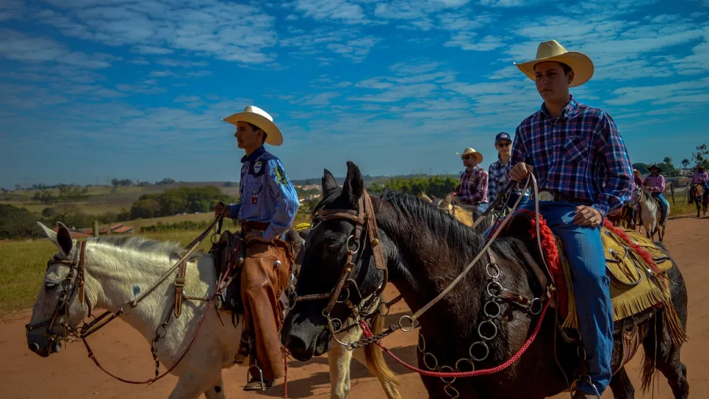 Valle del Cauca buscará regular las cabalgatas
