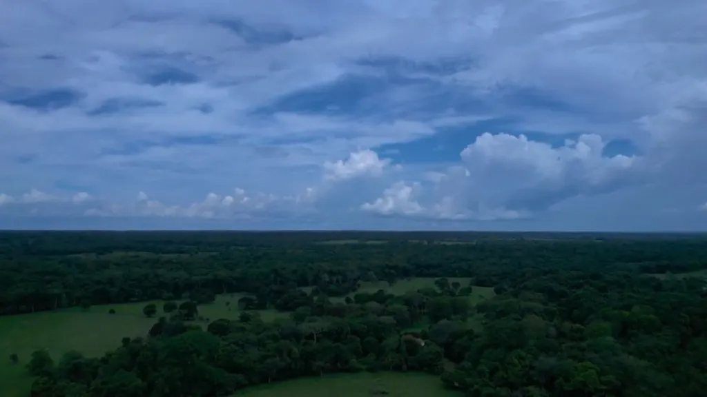 Reforestación en Amazonas: acuerdos con campesinos en Guaviare