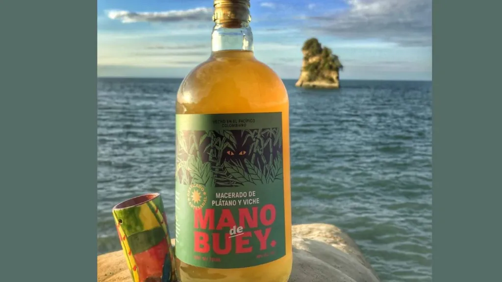 Viche, producto gastronómico del Pacífico colombiano 