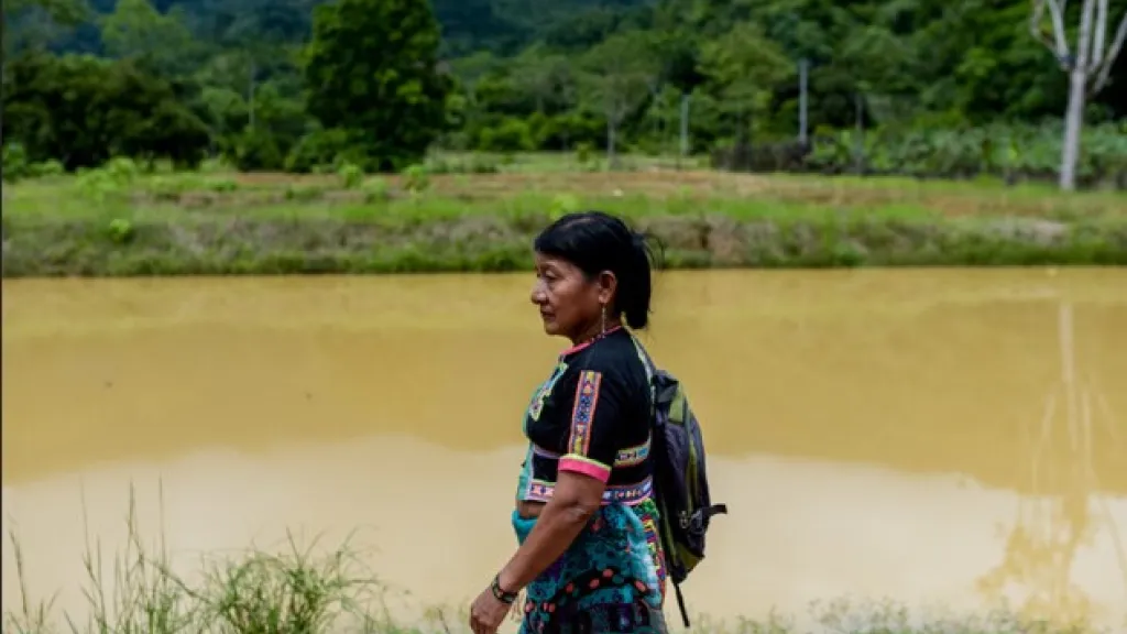 Día de la Eliminación de la Violencia Contra la Mujer: ¿cómo está el panorama en Colombia?