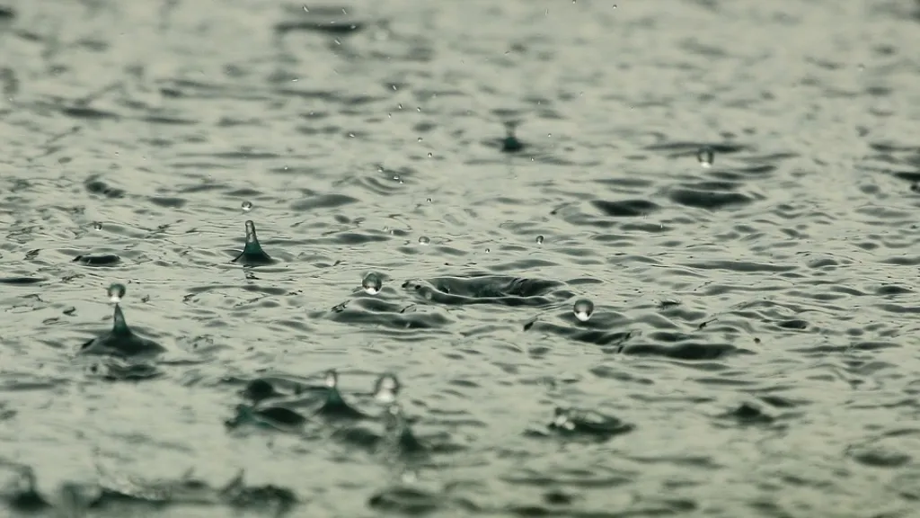 Temporada de lluvias 