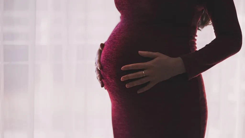 No discriminación a mujeres embarazadas en procesos de selección