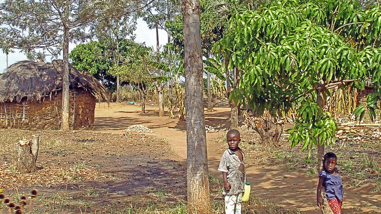 fotografía de hogar en una aldea de la zona tropical