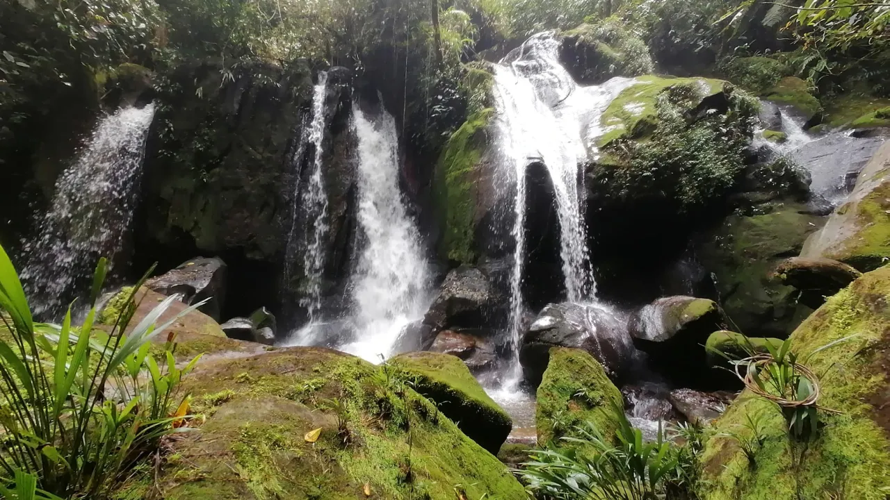 Turismo ecológico en Mesetas, Meta