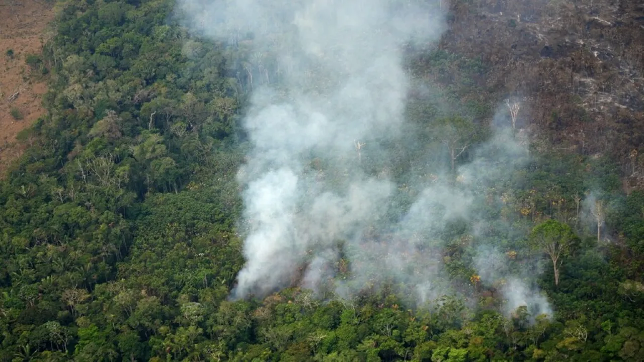Amazonía colombiana