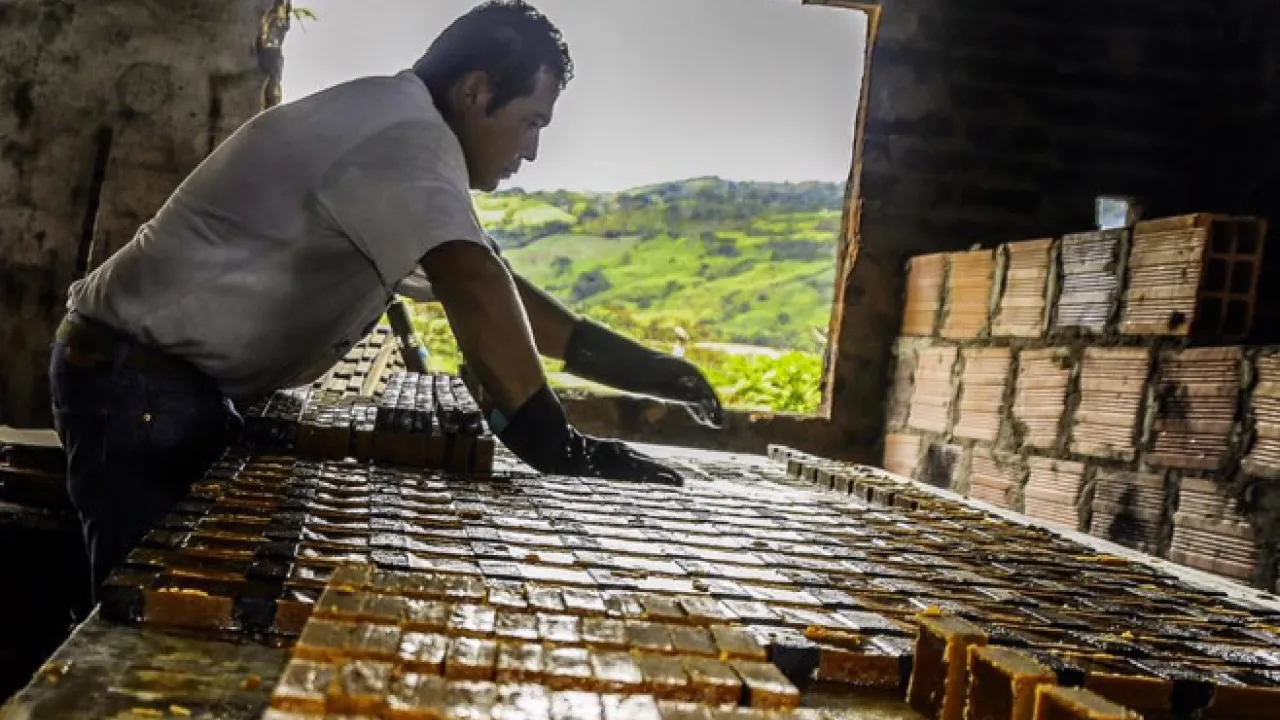 Panela para las heridas