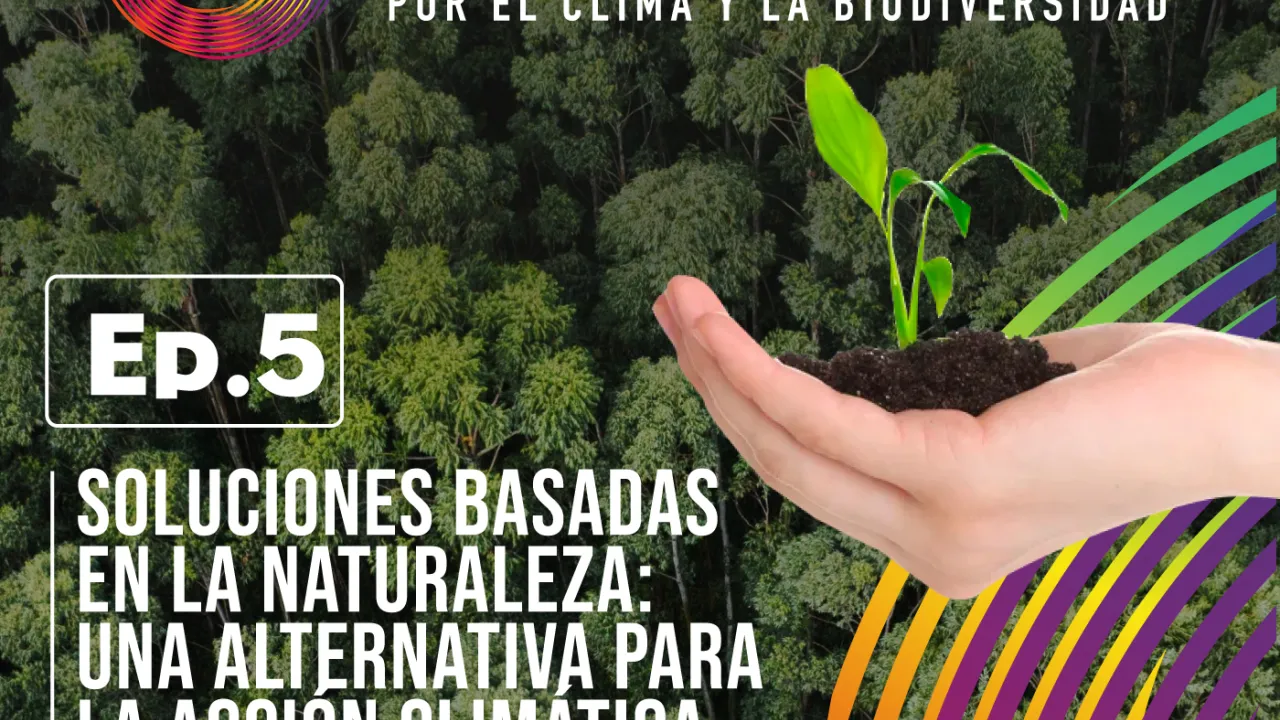 Soluciones Basadas en la Naturaleza