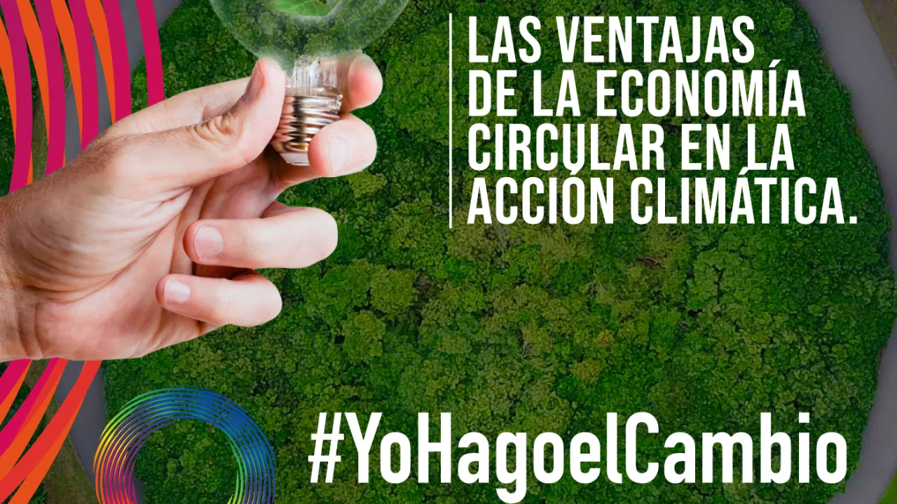 Reciclaje, Economía Circular