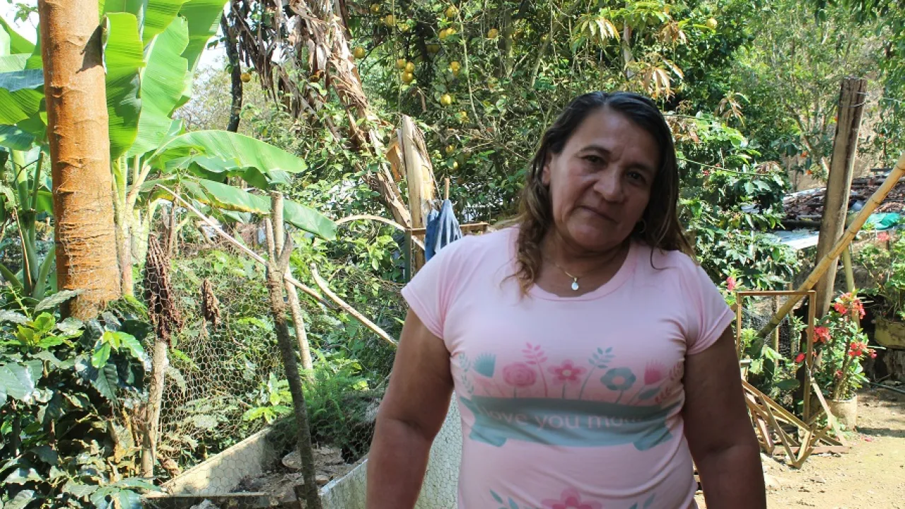 Conflicto armado 