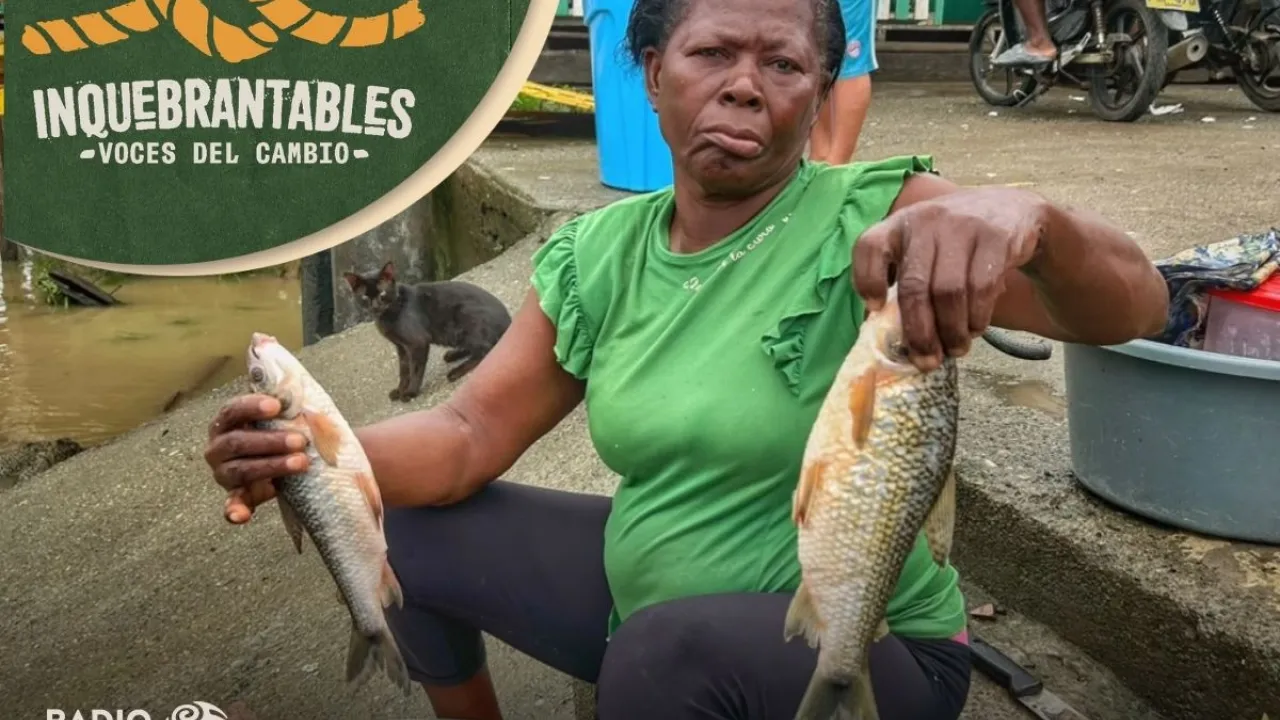 Inquebrantables - Entre escamas y esperanza: las arregladoras de pescado a orillas del Río Atrato