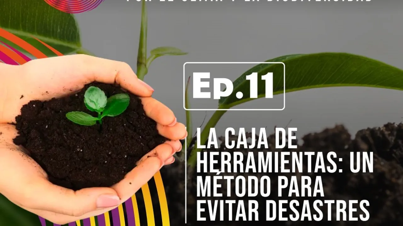 Caja de herramientas: un método para evitar desastres 