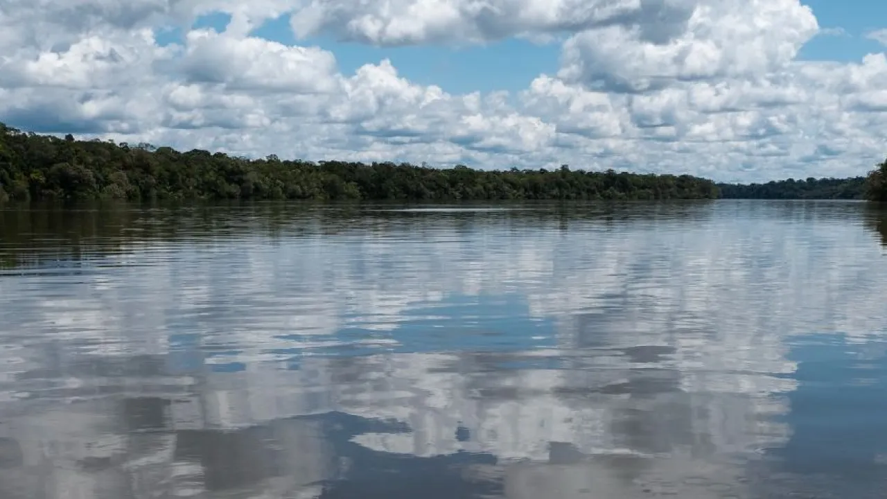 Temporada 4 / Episodio 1 Pirarucú: corazón de la Amazonía