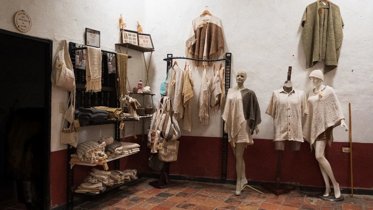 Mujeres tejedoras 