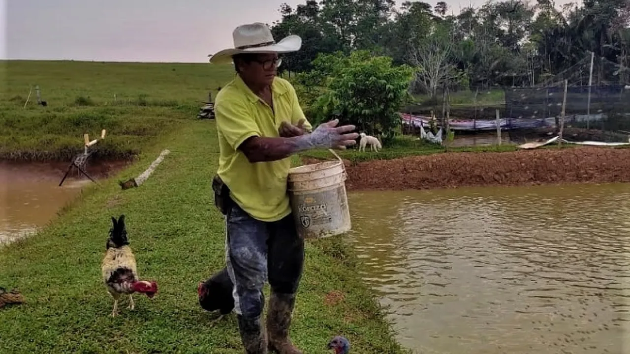 Procesos de paz