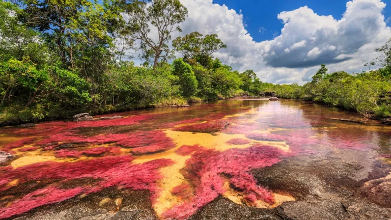 Turismo en Colombia: consejos para un turismo responsable