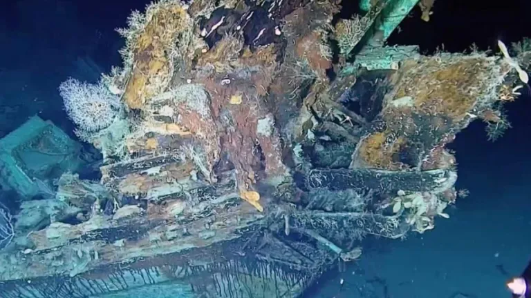 Galeón español San José: declaran zona como área arqueológica protegida