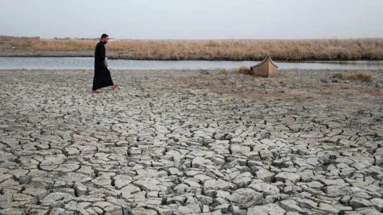 Jardín de la Edén en Irak: un desierto por cuenta de la sequía 