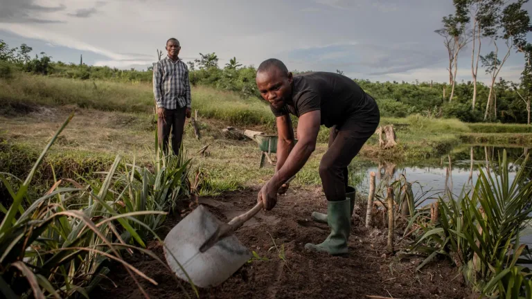 Selva del Congo, un pulmón frágil que busca protección