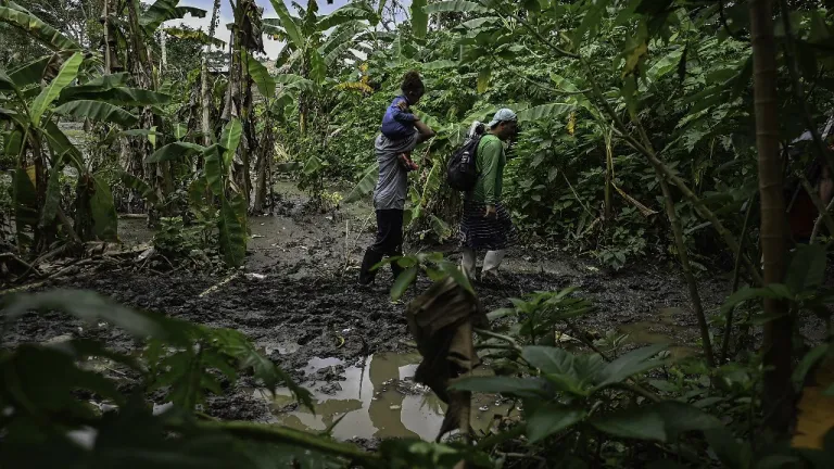 Incremento de migrantes que han cruzado la selva del Darién en 2023
