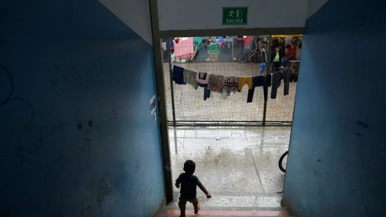 Indígenas en Bogotá: Procuraduría pide protección para las comunidades