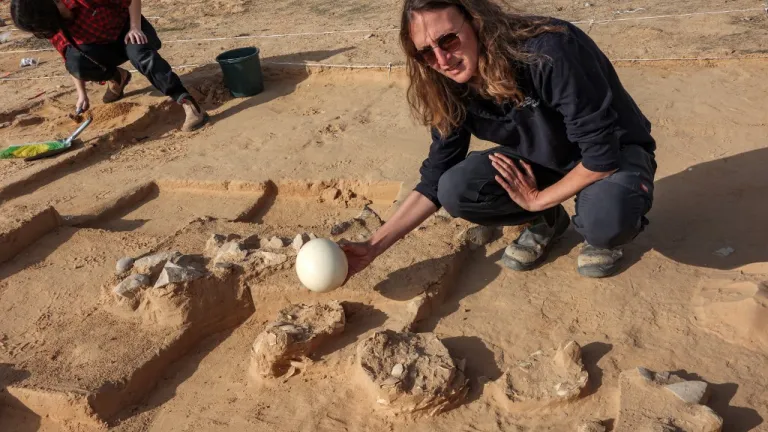 Descubren huevos de avestruz de más de 4.000 años