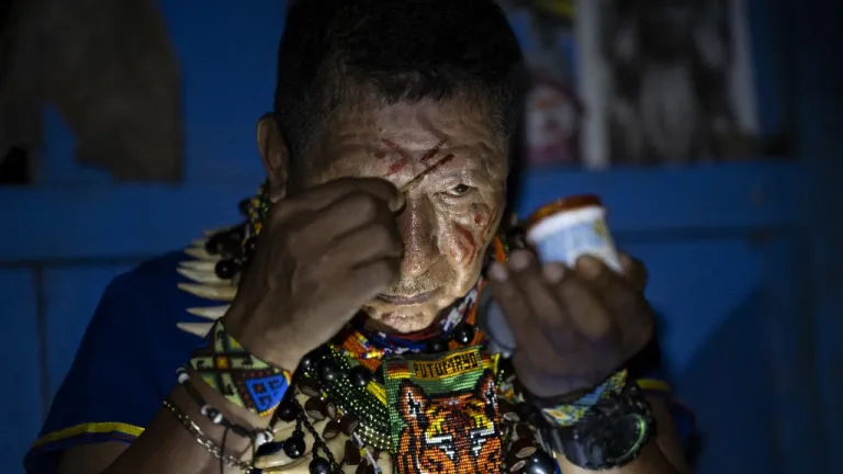 El "camino sagrado" de la ayahuasca en la Amazonía ecuatoriana