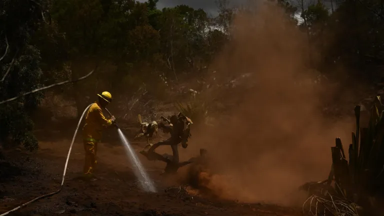 ¿Cuáles son los incendios más grandes del siglo XXI?